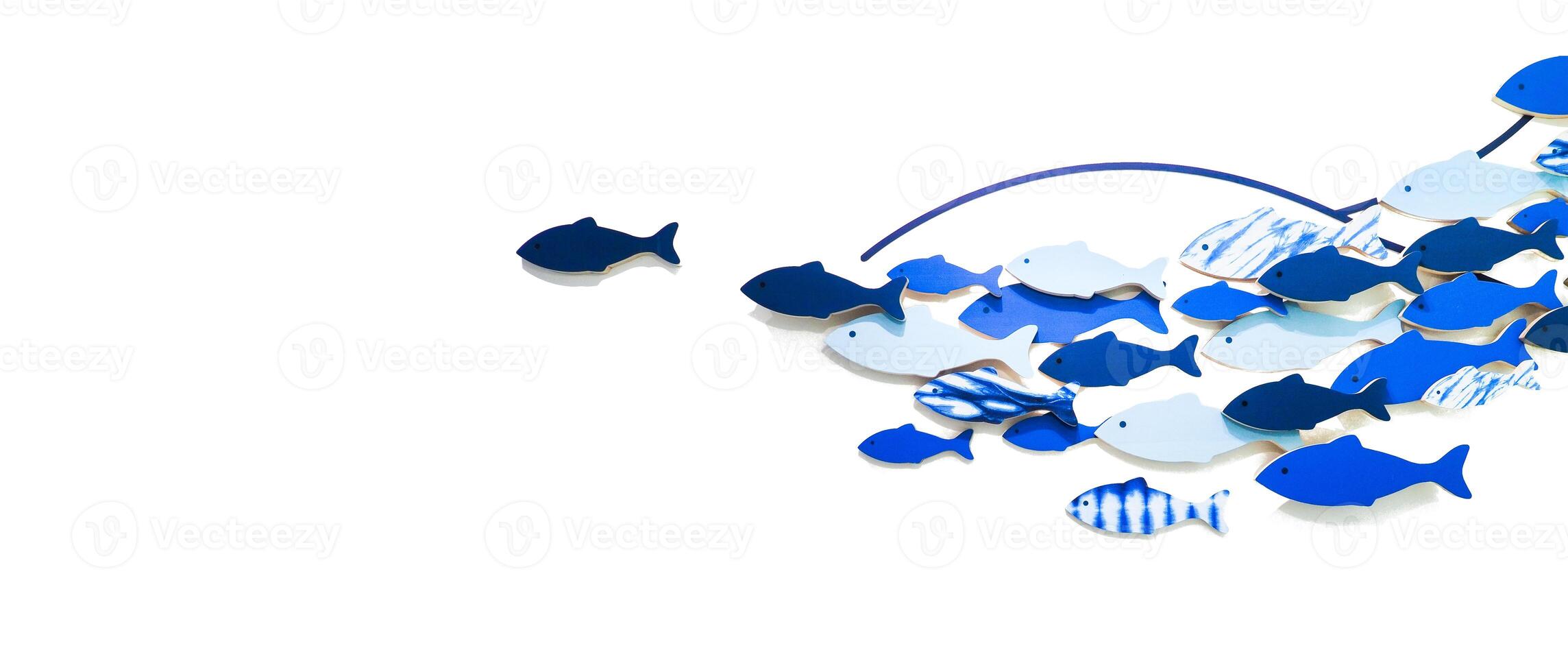 Blue and White Fish on White Background Isolated - School of Fish Concept photo