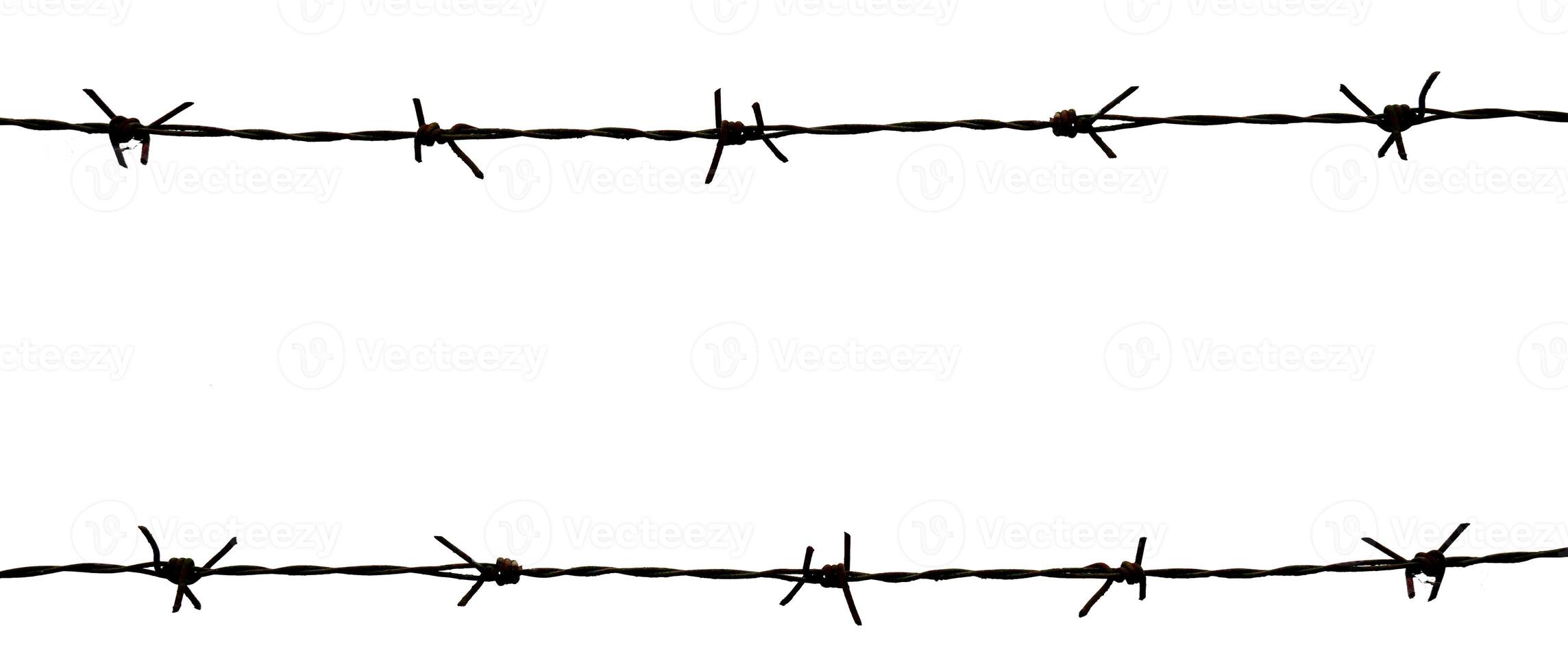 Isolated Barbed Wire on White Background for Security and Protection Concepts photo