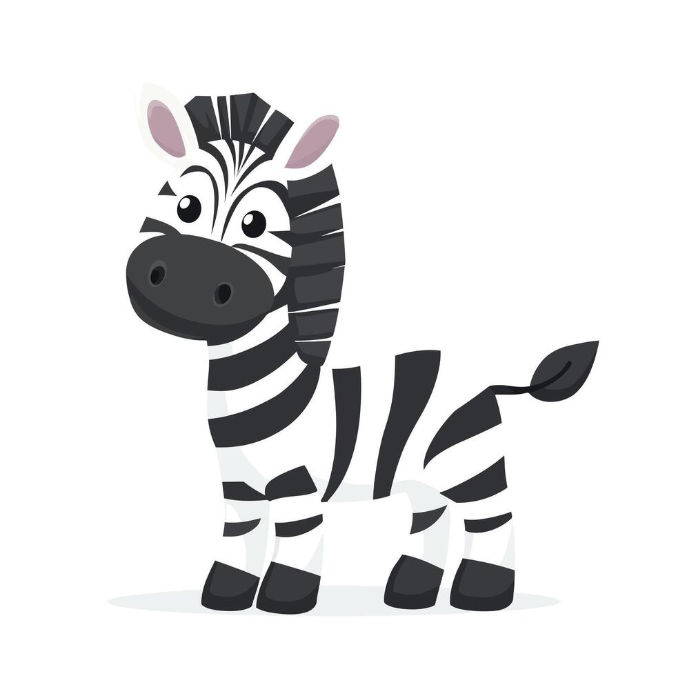Black and white zebra stripes vector