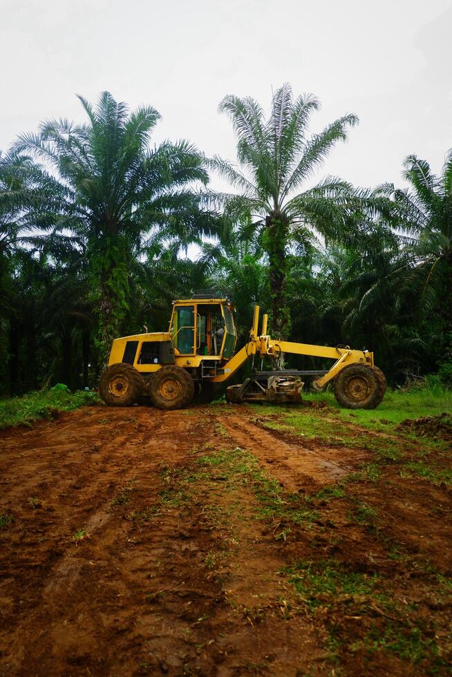 Kalimantan Timur, Indonesia 11 September 2024. The grader machine used to level the road is in operation photo