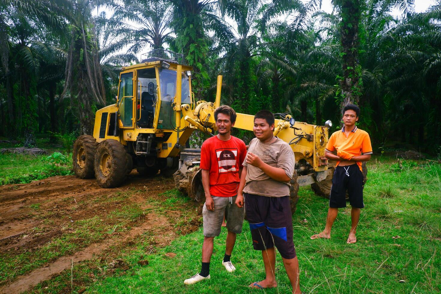 Kalimantan Timur, Indonesia 11 September 2024. The grader machine used to level the road is in operation photo
