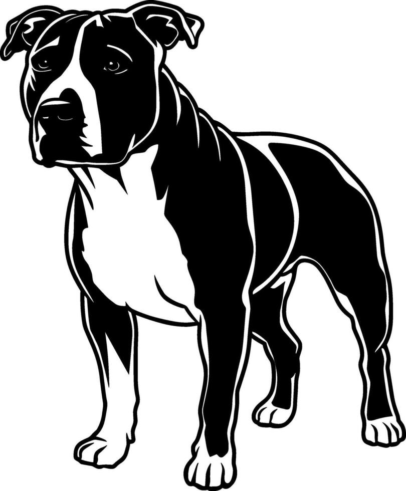 American Staffordshire Terrier vector