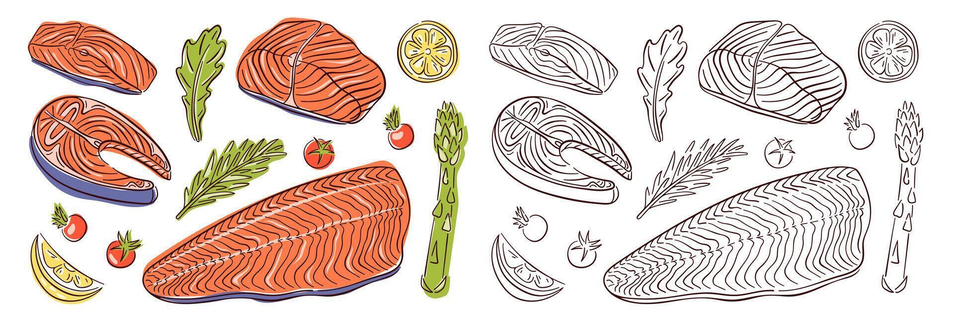 Line art style set of slice and steak salmon, with lemon piece, asparagus, tomatoes and herbs. Design seafood for menu, restaurant, grocery. vector