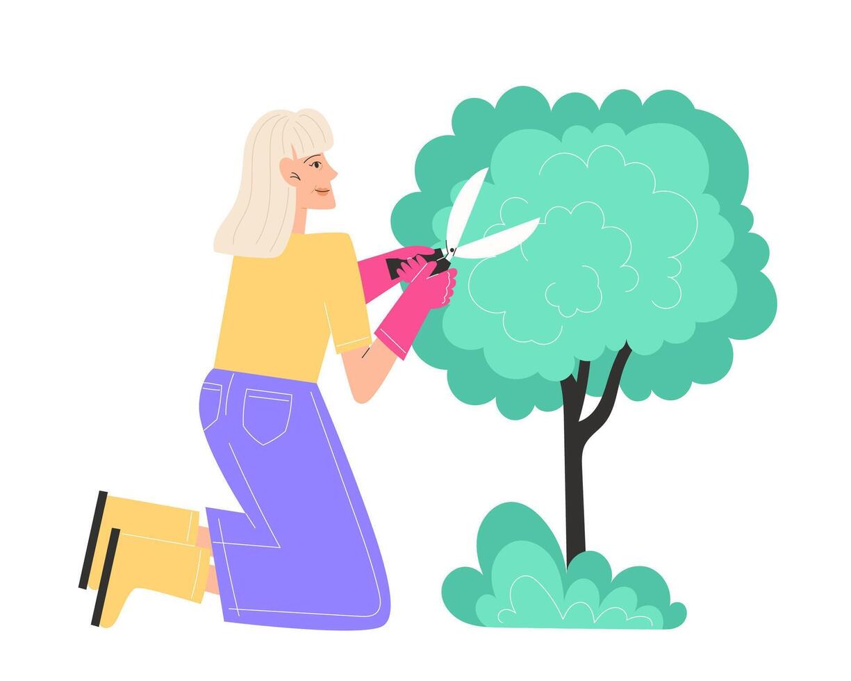 A elderly woman trims bushes in the garden with garden shears vector