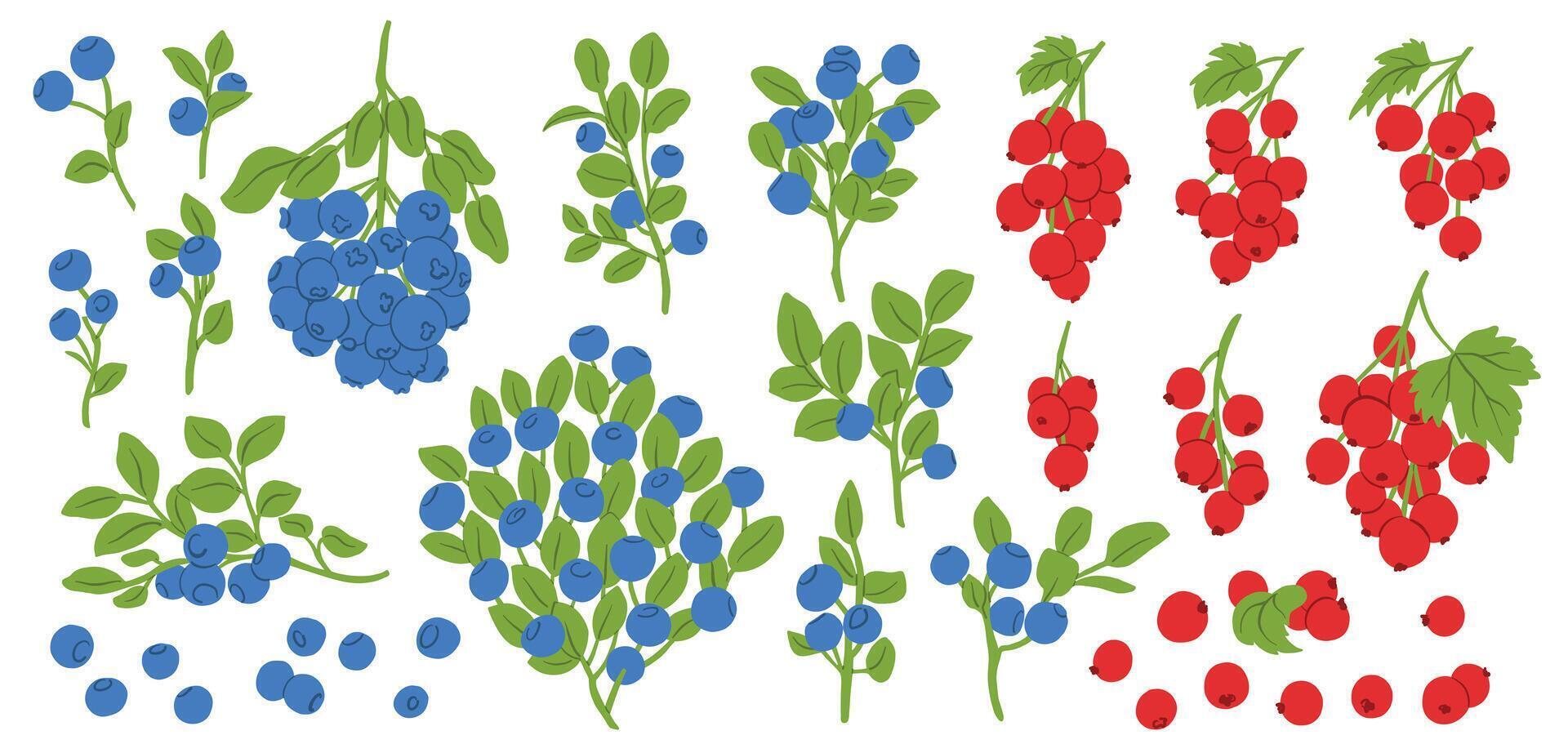 Blueberry Currant Fruit Branch Icon Set. Berries Food Illustration vector