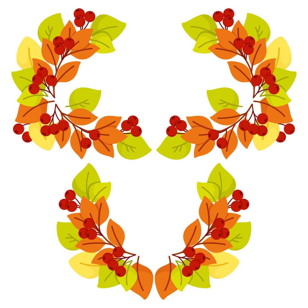 Composition of autumn leaves and berries in the shape of a semicircle vector