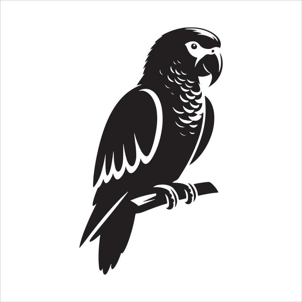 Top Parrot Toys to Keep Your Pet Entertained vector