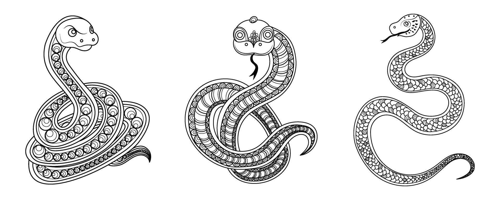 Three different drawings of a snake, each with a different design. The first one is a simple, straight line, the second one has a diamond pattern, and the third one has a more intricate design vector