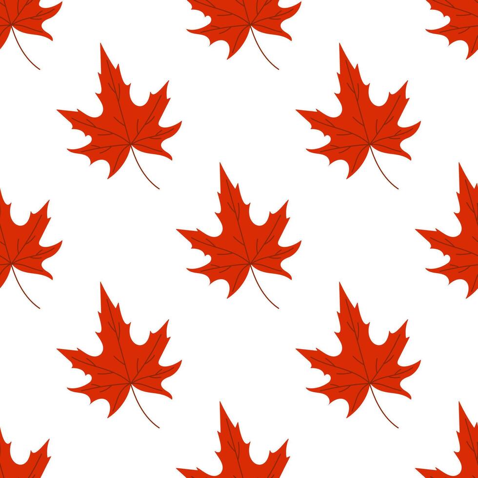 A pattern of red maple leaves on a white background. The leaves are drawn in a stylized way, with a focus on their shape and color. Scene is warm and inviting, evoking the feeling of autumn vector
