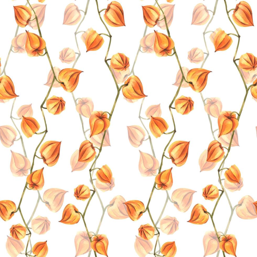 Autumn orange physalis berries on branches dry, without leaves dried flowers. Watercolor hand-drawn illustration. Seamless pattern on white background vector