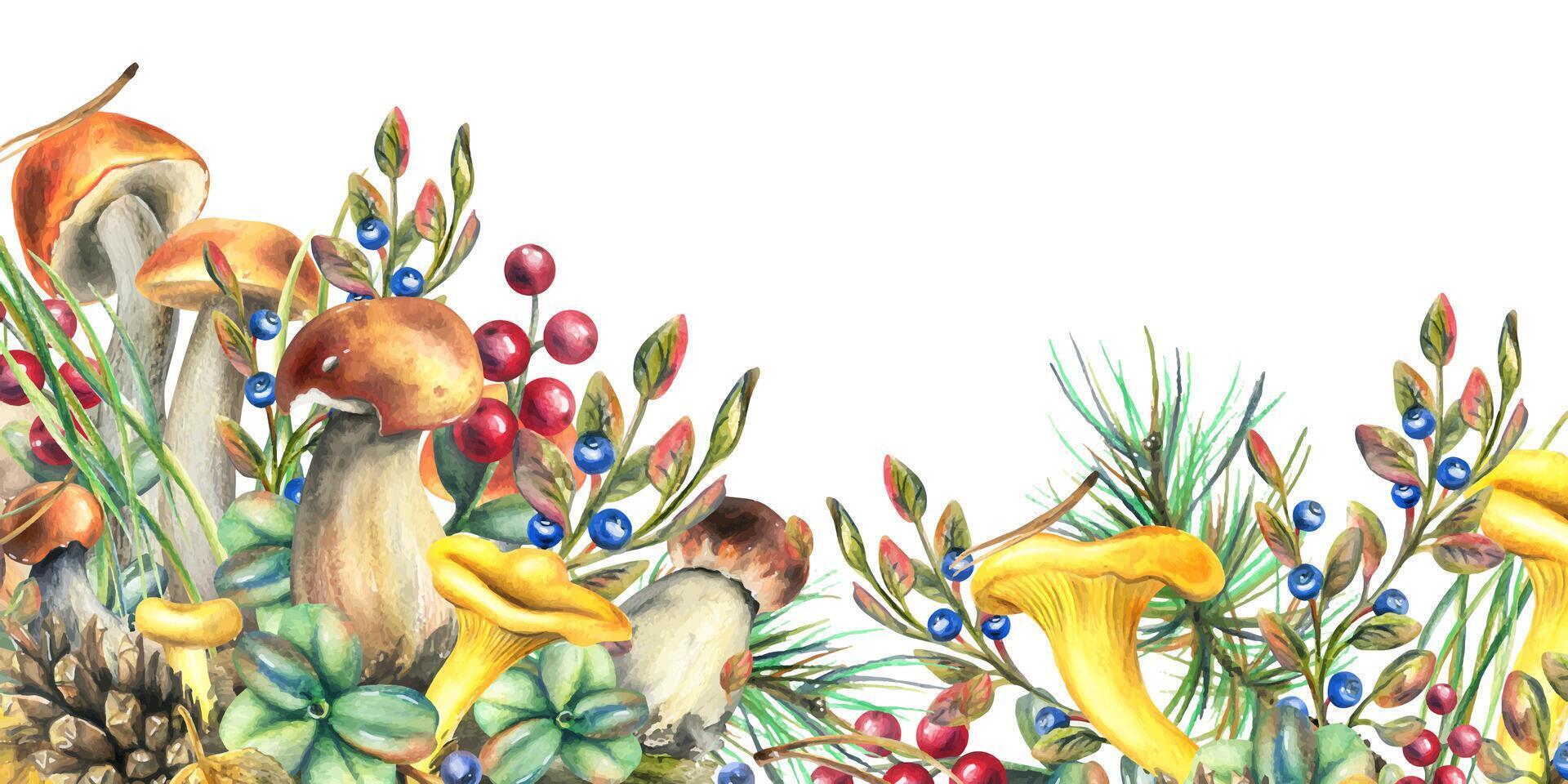 Forest mushrooms, boletus, chanterelles and blueberries, lingonberries, twigs, cones, leaves. Watercolor illustration, hand drawn template on a white background vector