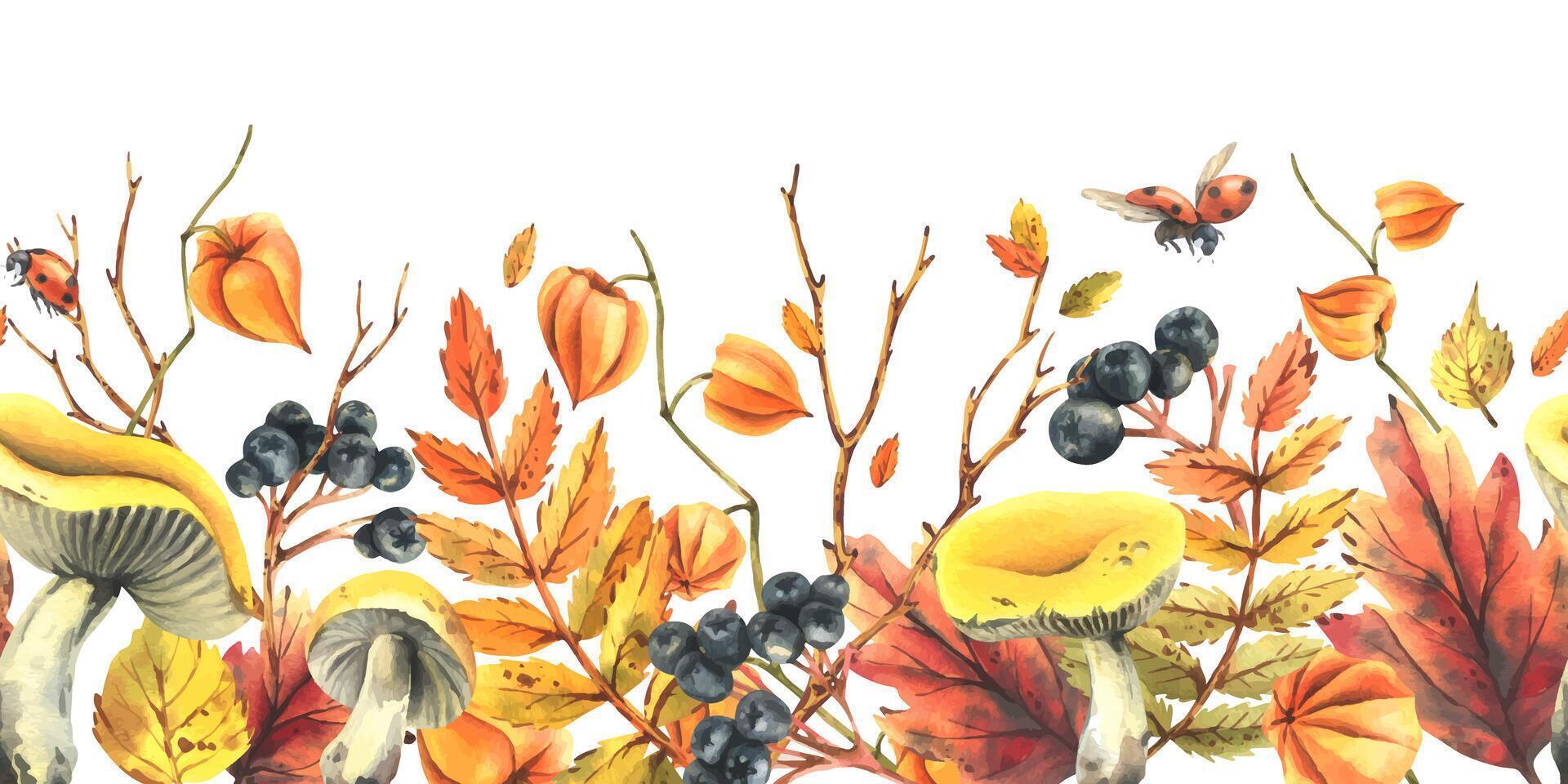 Autumn berries physalis, chokeberry, rowan leaves, maple, birch, russula mushrooms, tree branches and ladybugs. Watercolor illustrations. Horizontal seamless border isolated from background vector