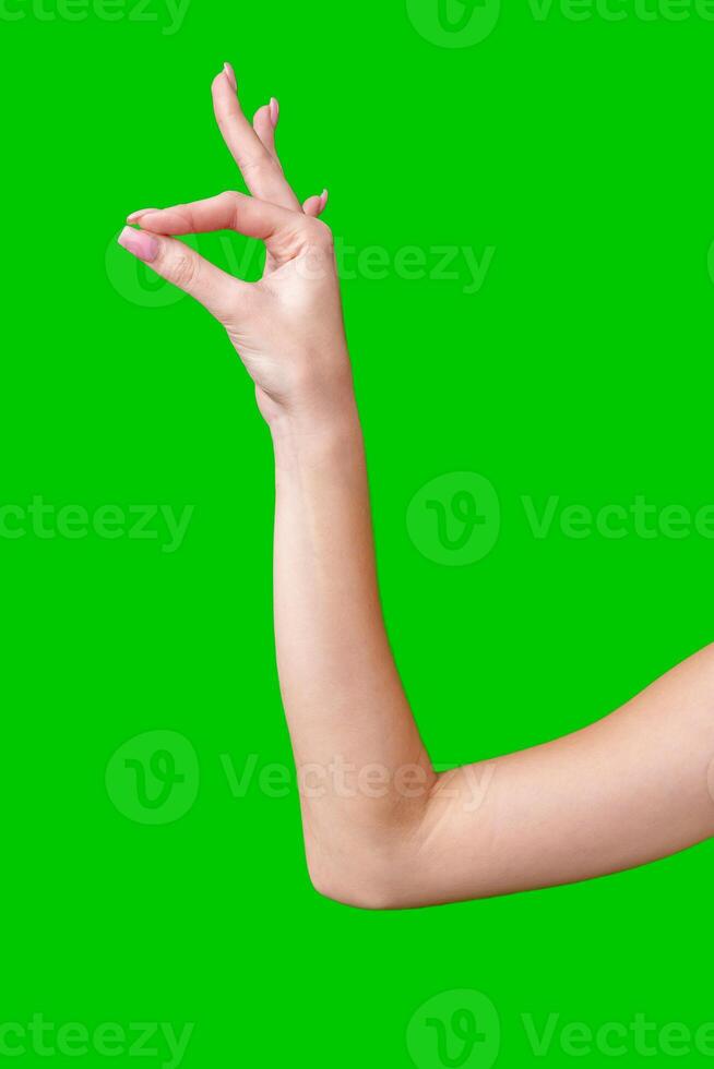Close Up of a Woman's Hand Making the Okay Sign Against a Green Screen photo