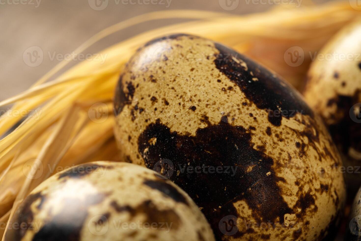 Quail eggs in nest on wooden table photo