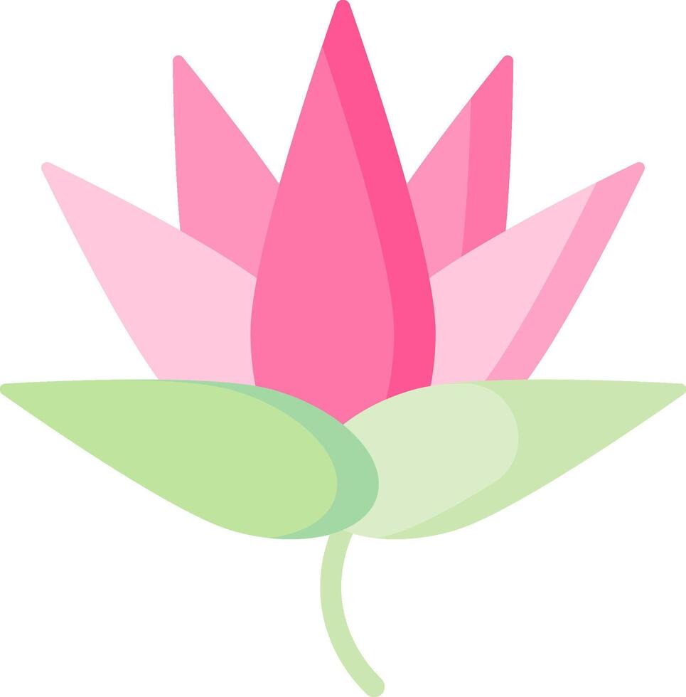 lotus illustration design vector