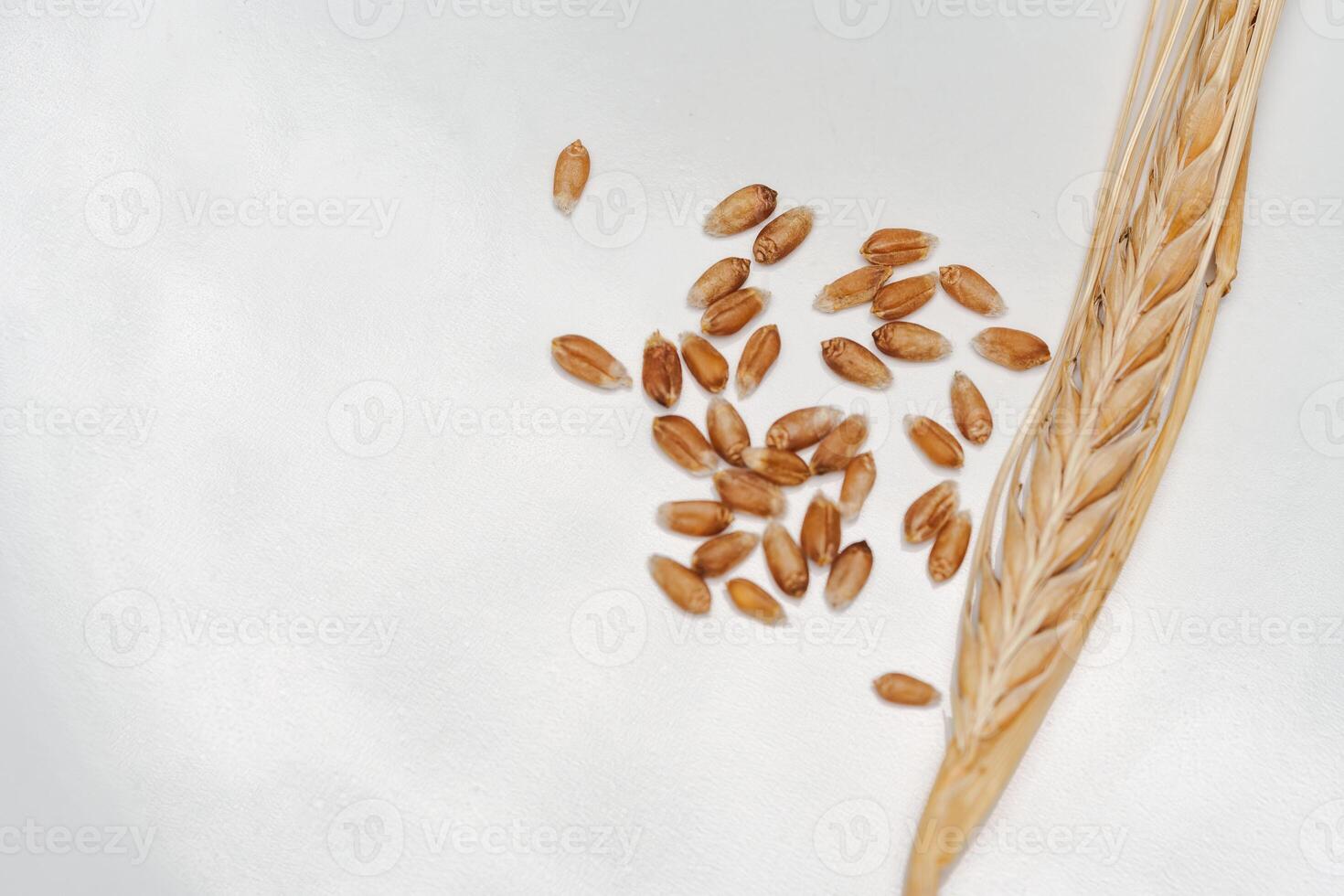 Several grains of cereals, natural dry grain photo