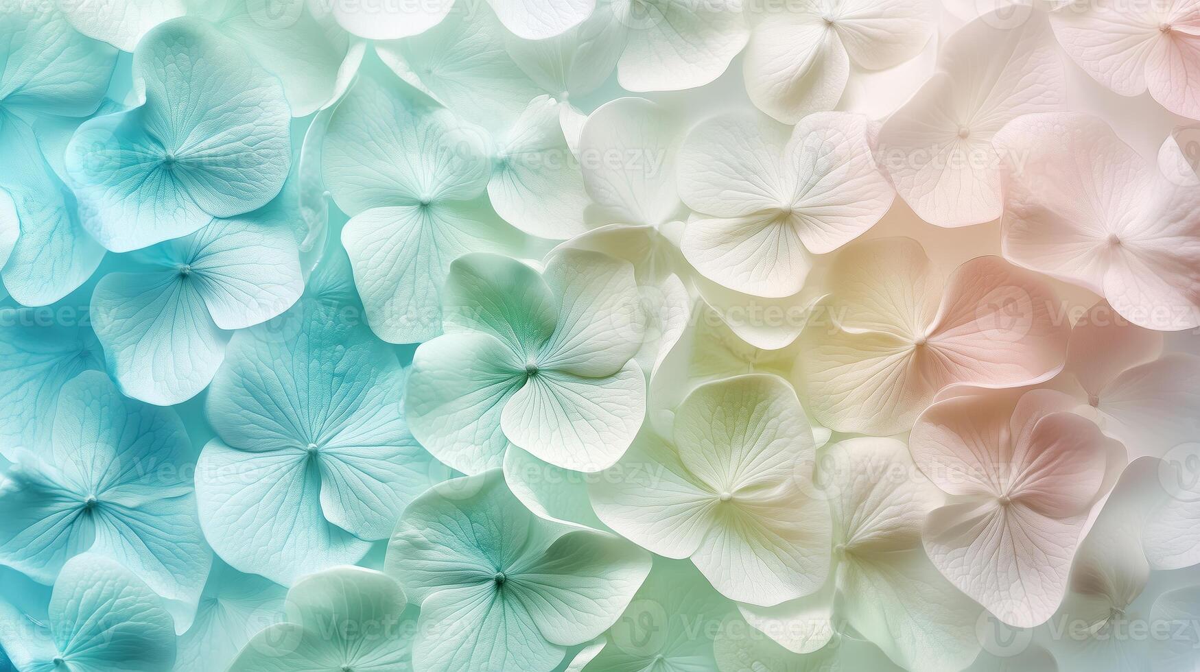Delicate pastel hydrangea petals in shades of blue and white subtly blend together in a serene floral pattern photo