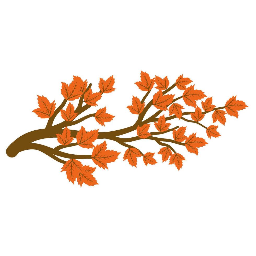 Autumn twig with leaf vector