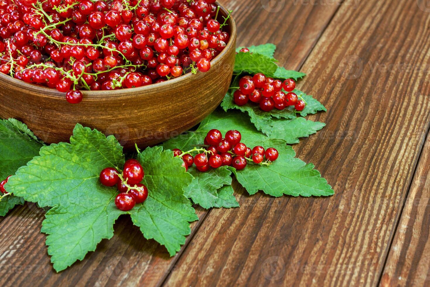 Bowl of freshly picked redcurrants and leaves on a table photo