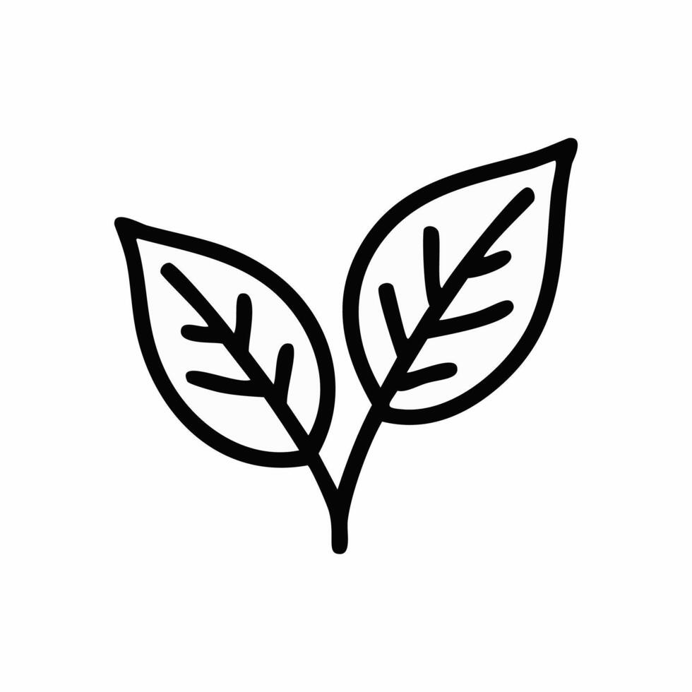 Leaf icon. A thin line sign. Isolated contour symbol illustration vector