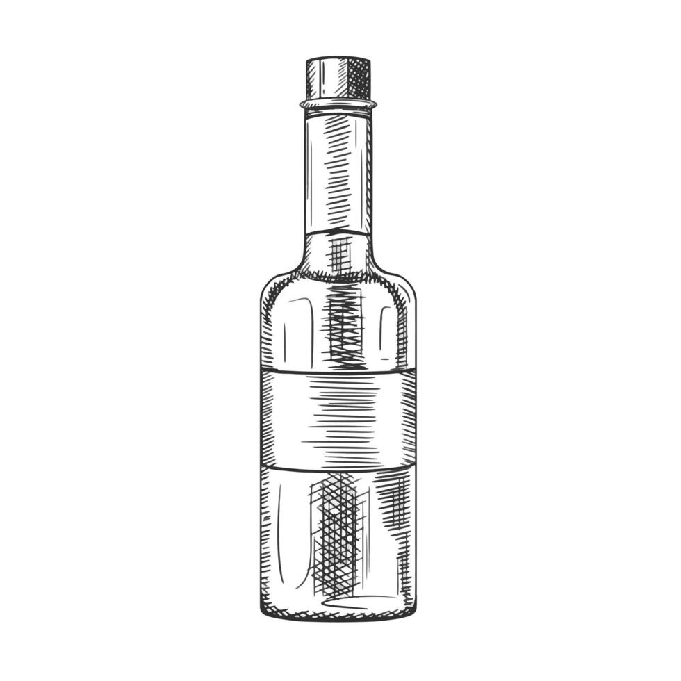 illustration with transparent glass jar sauces, spices, preservation. Kitchen utensils, tools, dishes. Retro old cutlery. Hand drawn illustration in line art in black ink, isolated background vector