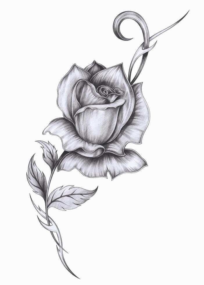 Rose tattoo design series three hand drawing on paper make graphic . vector