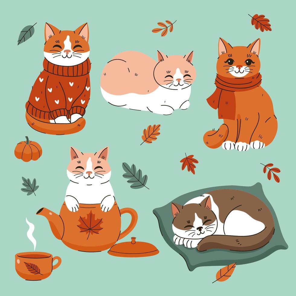 Set of cute cozy autumn cats. graphics. vector