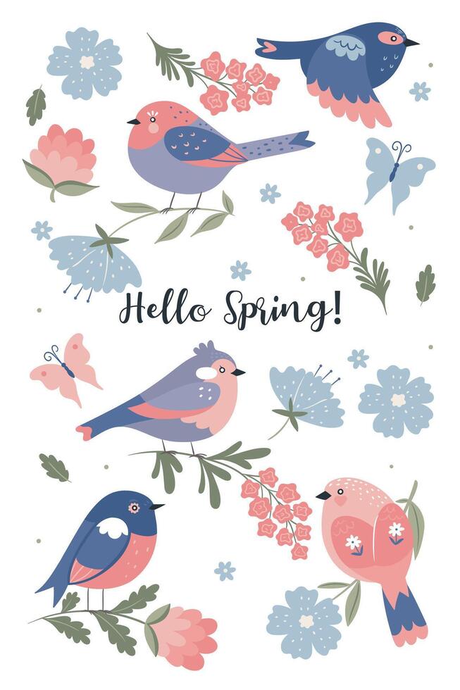 Set of cute spring birds isolated on white background. graphics. vector