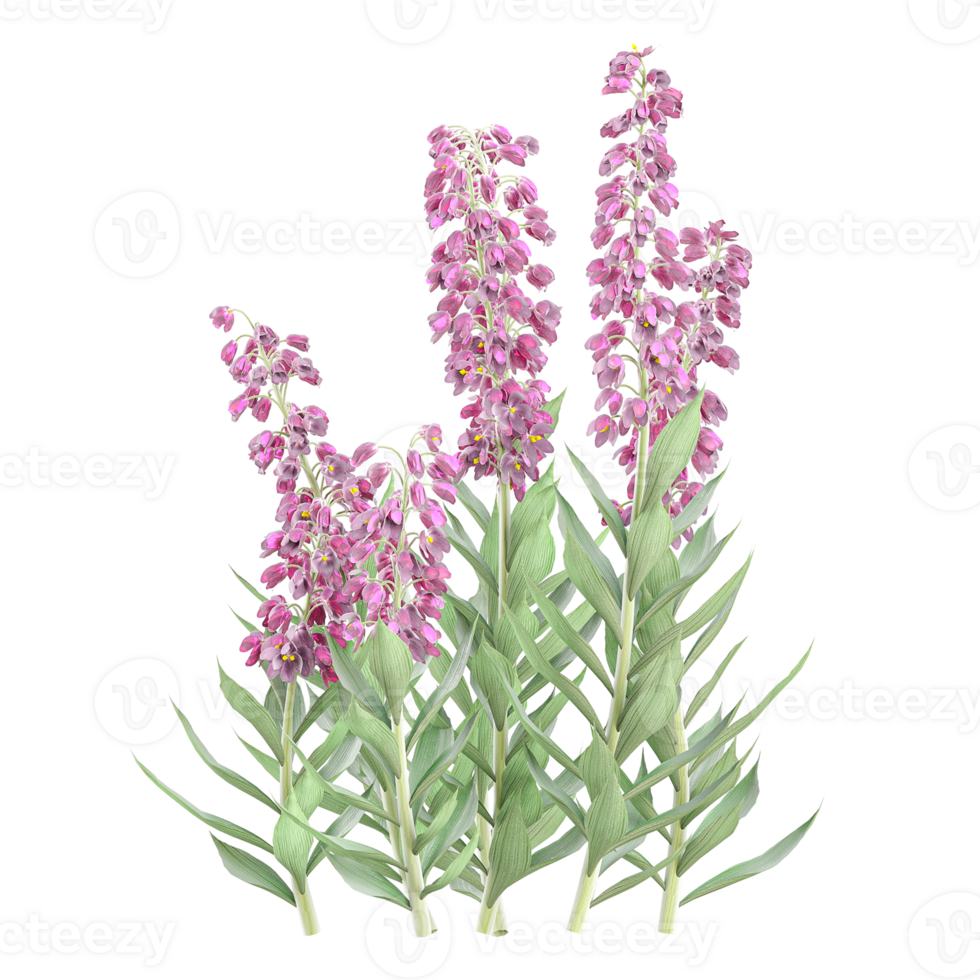 collection of Digitalis plant with realistic style png