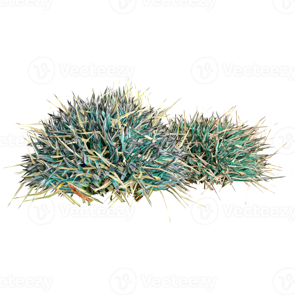 3d rendering of blue grass isolated on transparent Canvas png