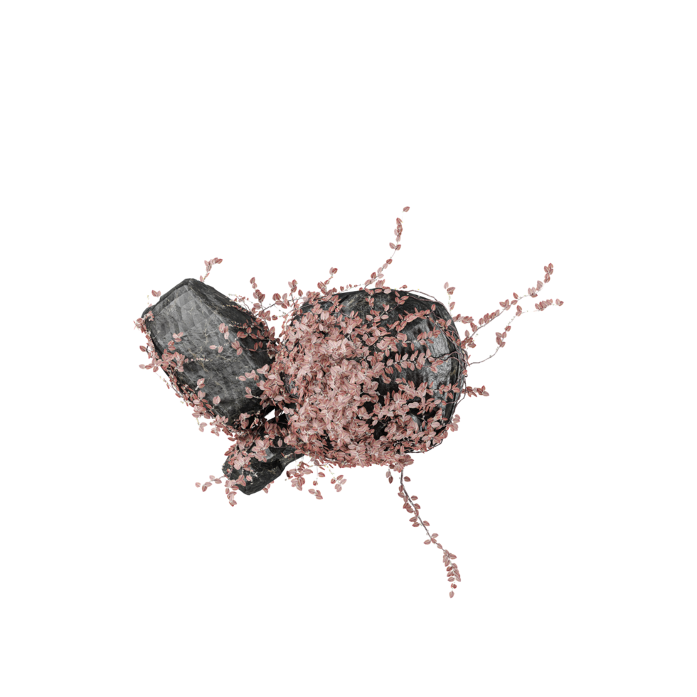 3d Rendering Of stone With plant on isolated Transparent Canvas png