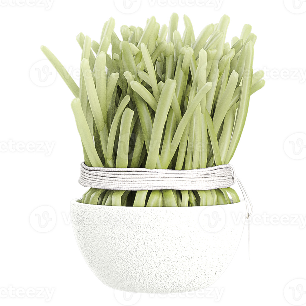 3d Rendering Of Green bean in pot With Transparent Canvas png