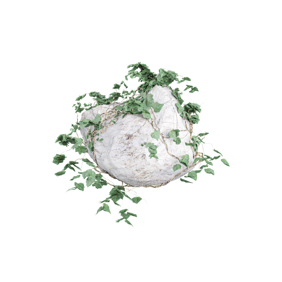 3d rendering of stone with plant isolated on transparent Canvas png