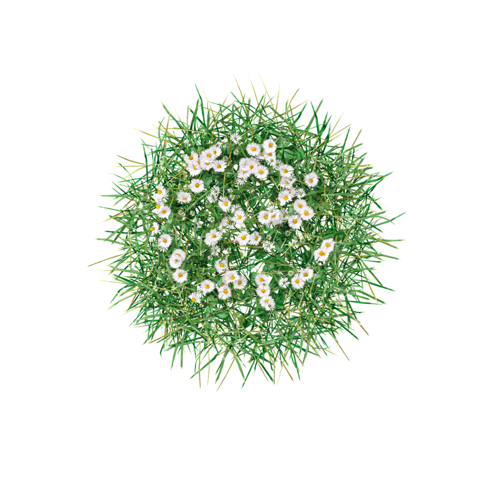Isolated grass on canvas from top view collection png