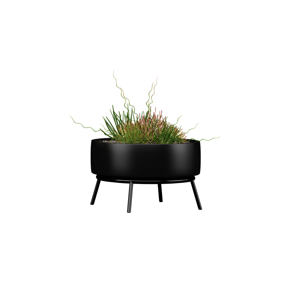 3d Rendering Of Indoor Plant in pot With Transparent Canvas png