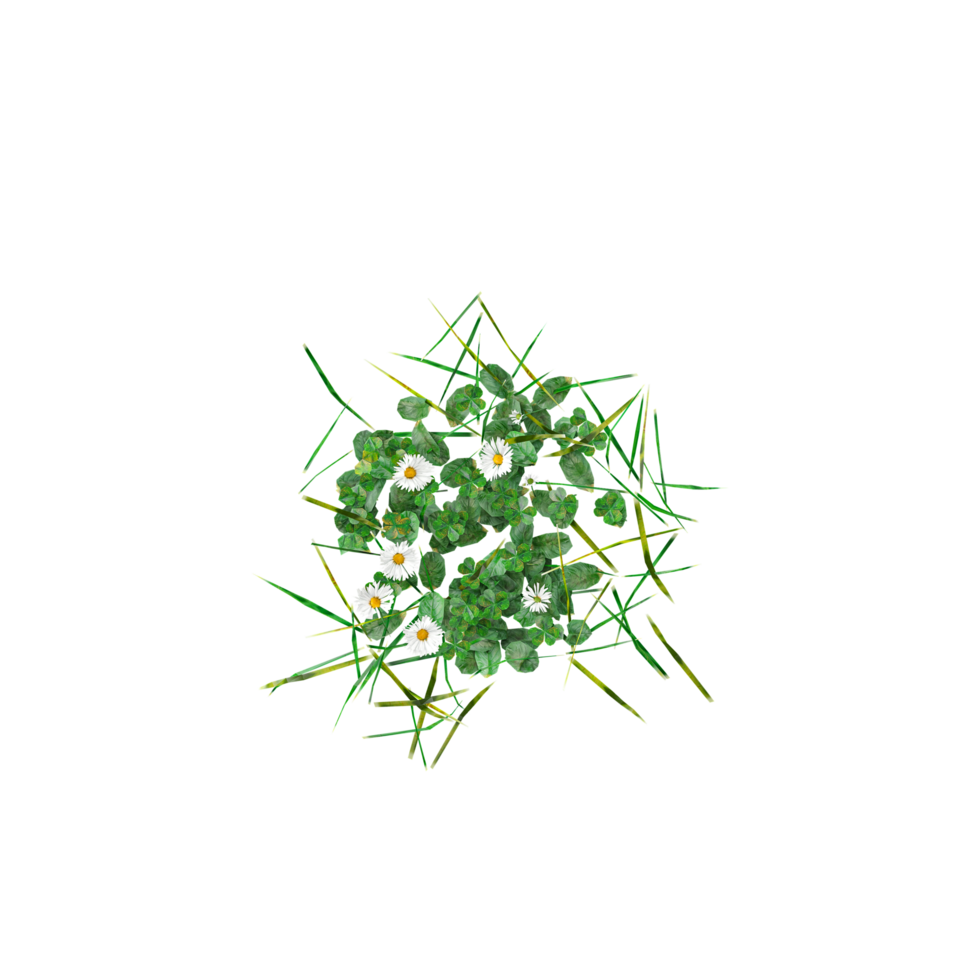 collection of grass isolated on transparent Canvas from the top view png