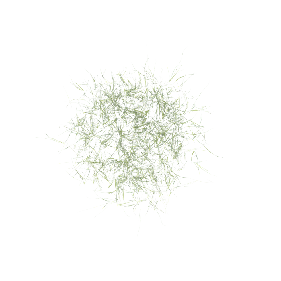 3d illustration of grass isolated on trasnparen canvas from top view png