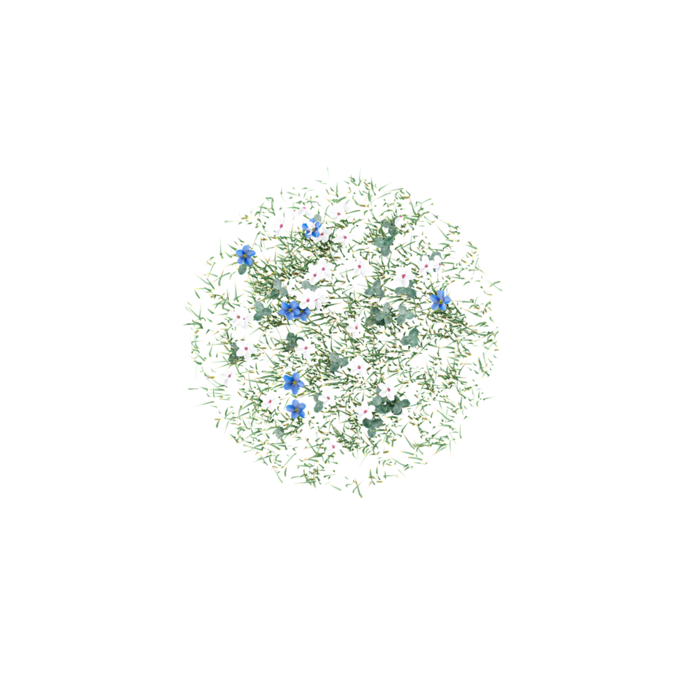 Top view of Fresh spring green grass isolated on canvas png