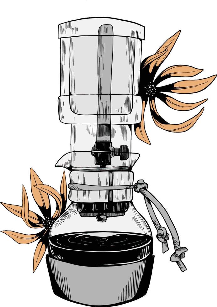 Filter drip coffee flower colored sketch illustration vector