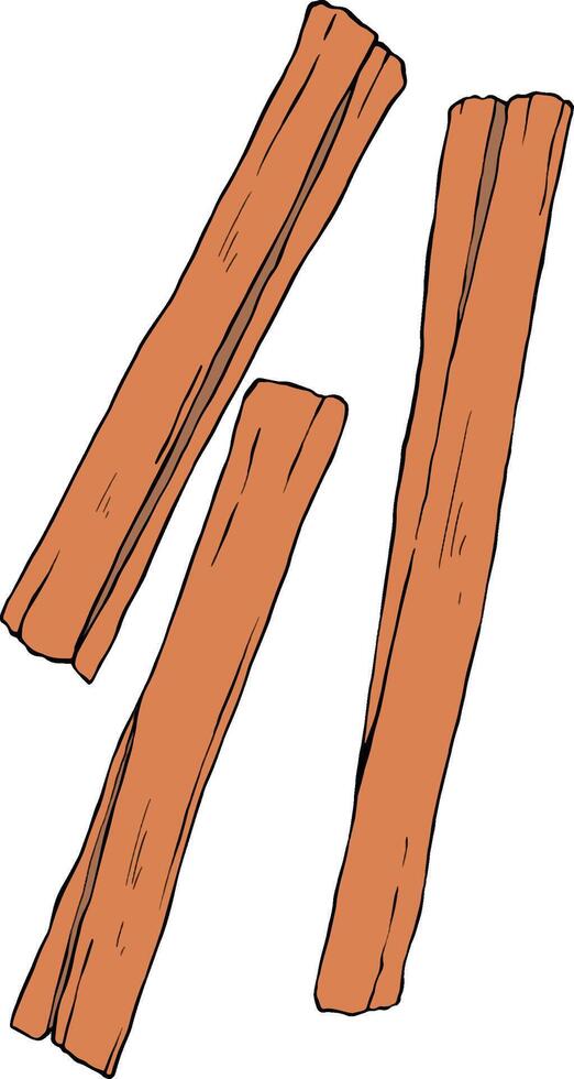 Cinnamons herb plant botanical illustration vector