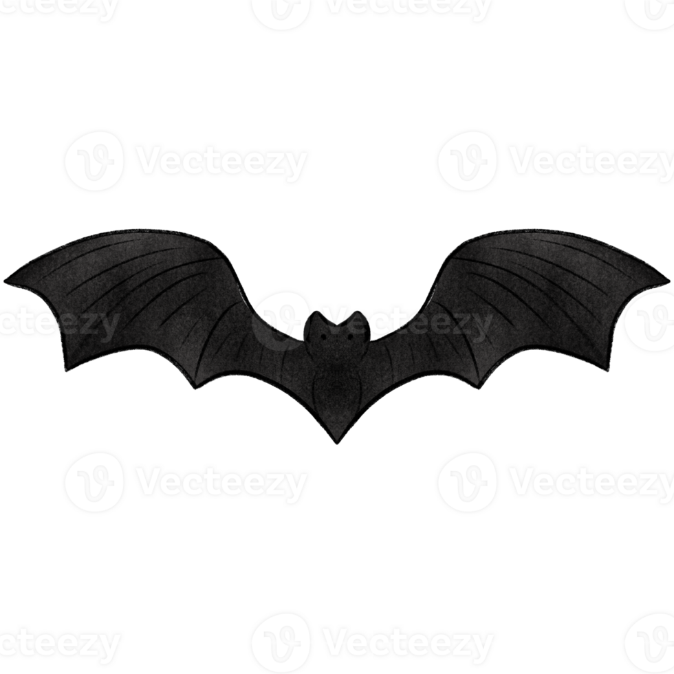 Hand drawn halloween bat Happy Halloween day set of elements png