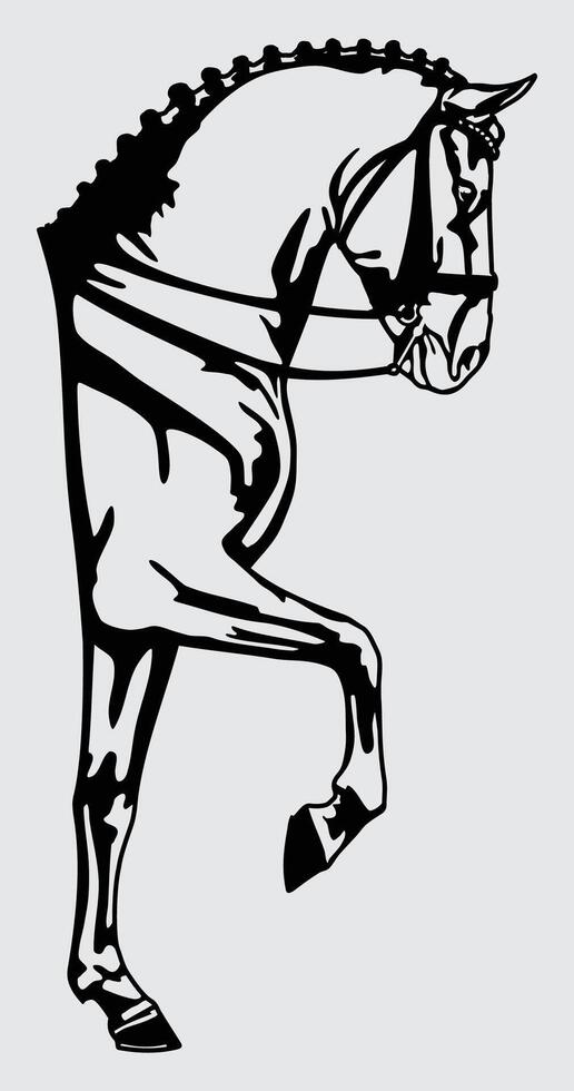 Piaffe Dressage Horse Ornament vector