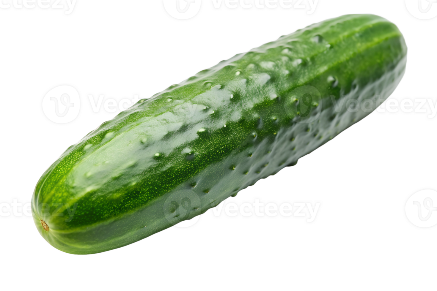 Fresh Green Cucumber png
