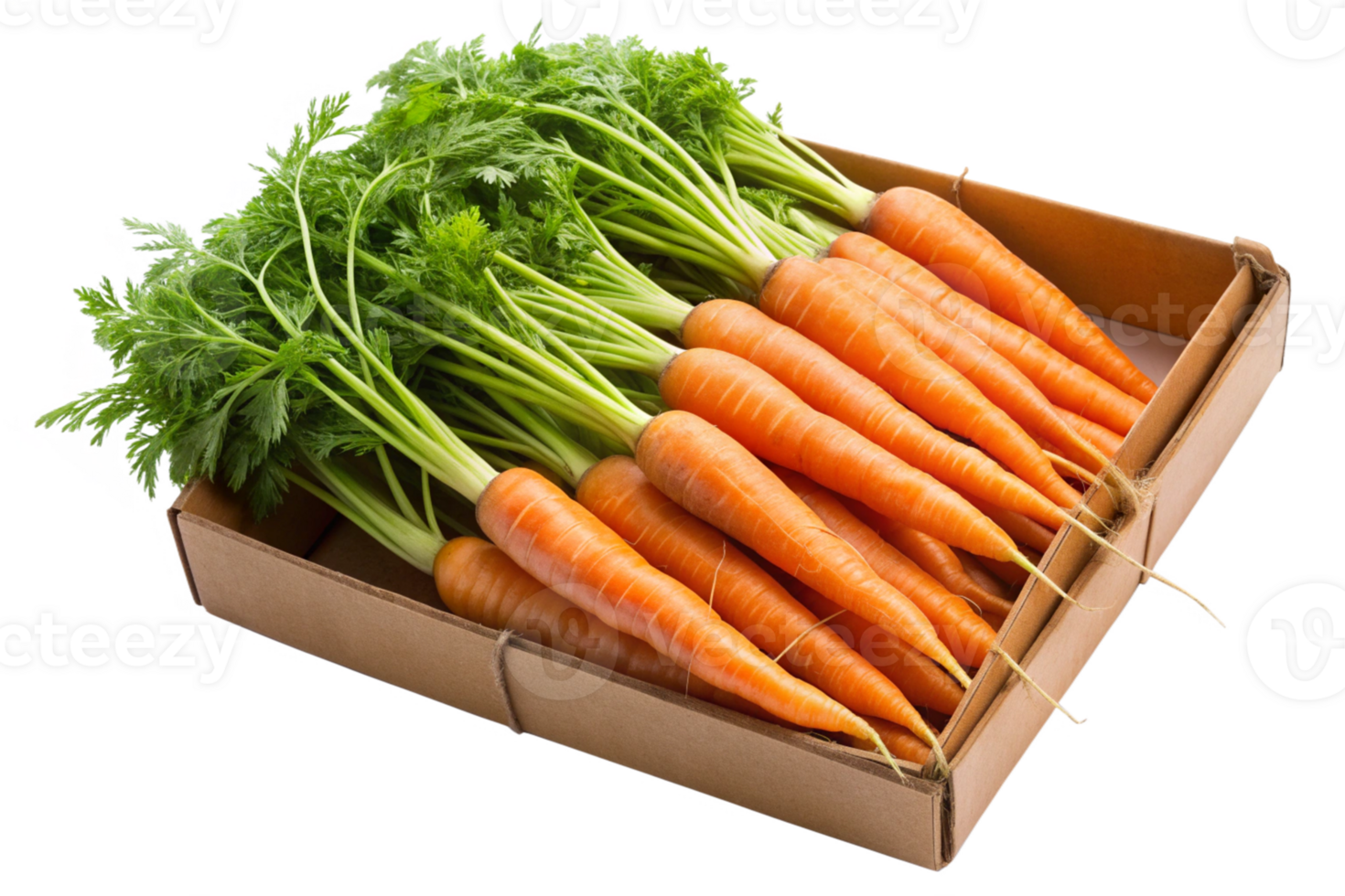 Fresh Carrots in a Package png