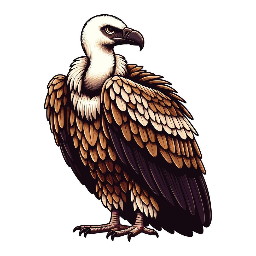 Cute Vulture cartoon illustration vector