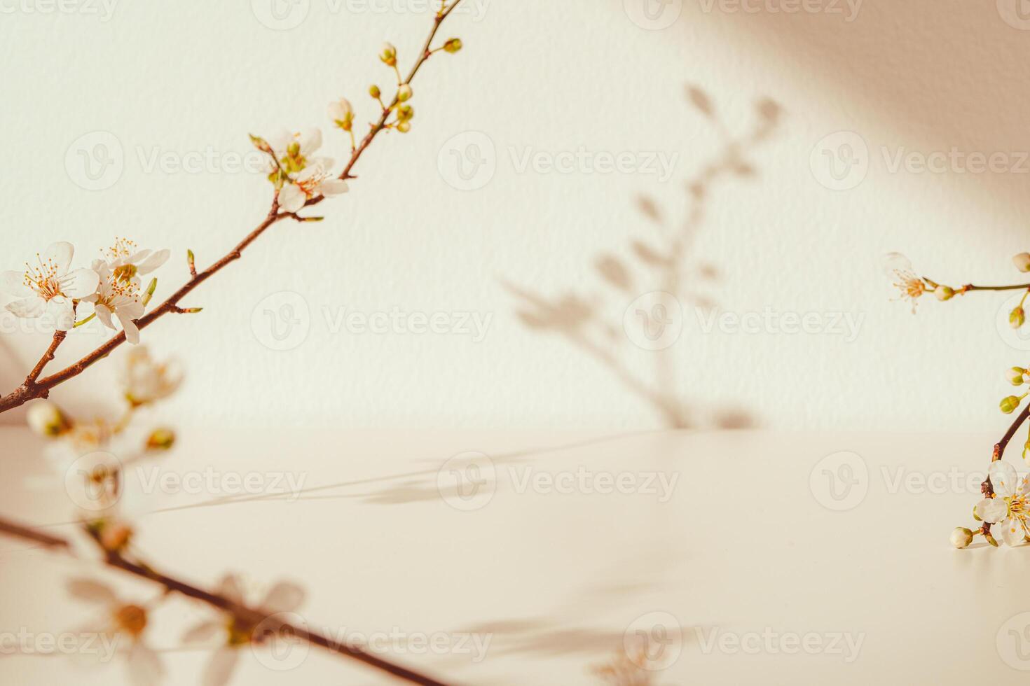 Blooming spring branches with flowers and its shadow on beige background photo