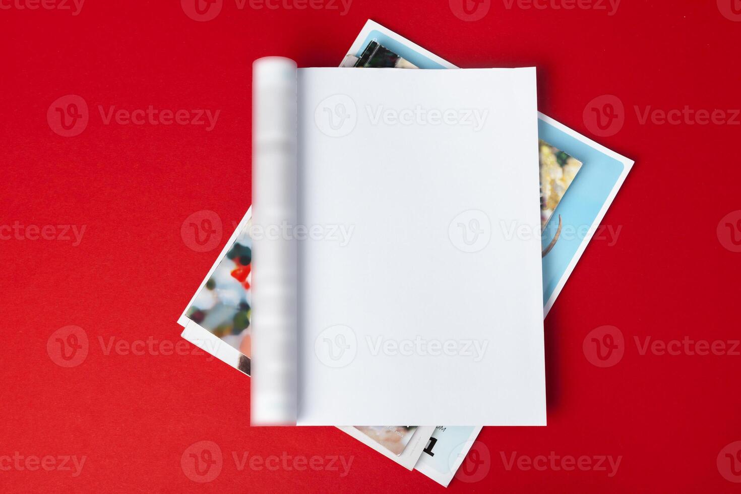 Mock-up magazine or catalog. Blank page. photo