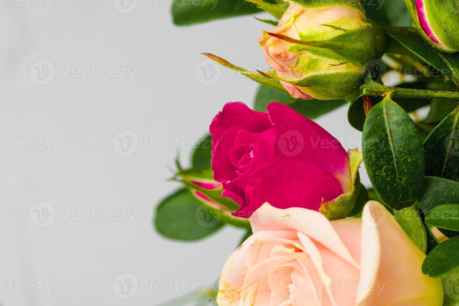 Background of fresh flowers with copy space photo