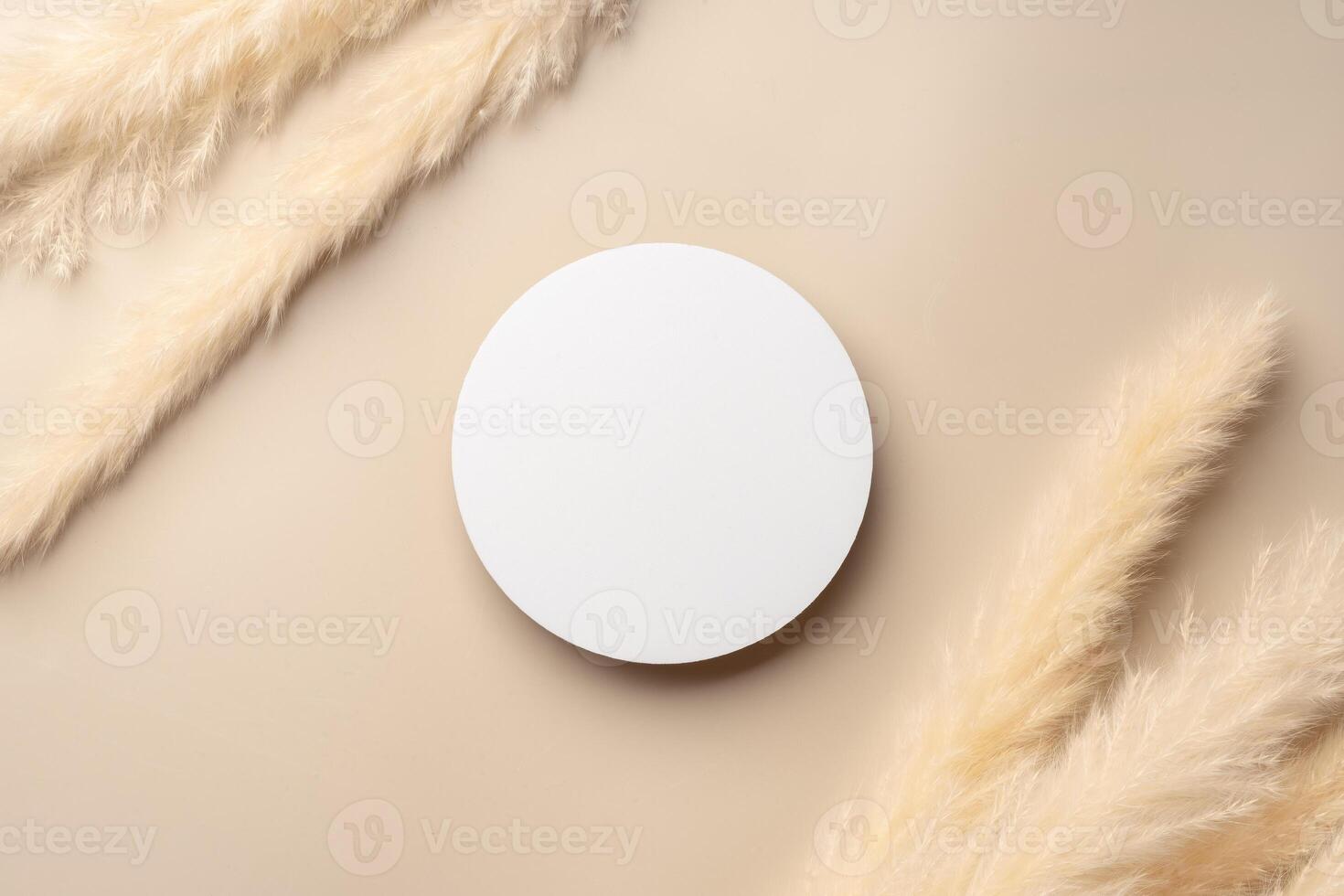 Beautiful Arrangement of Dried Grass and Circular Object on Soft Beige Background photo