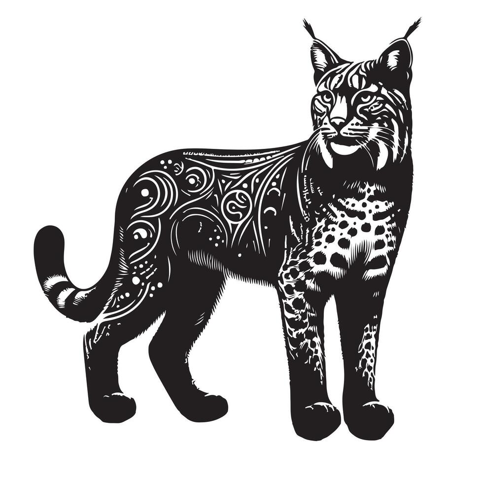 bobcat silhouette on white background vector